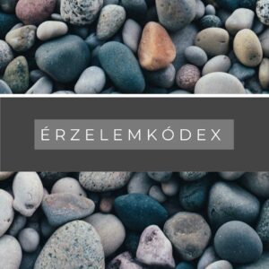 Anyaság iránytű program Mom Balance anyaság coaching mentális lelki egészség önismeret fejlődés anyai kiégés Érzelemkódex